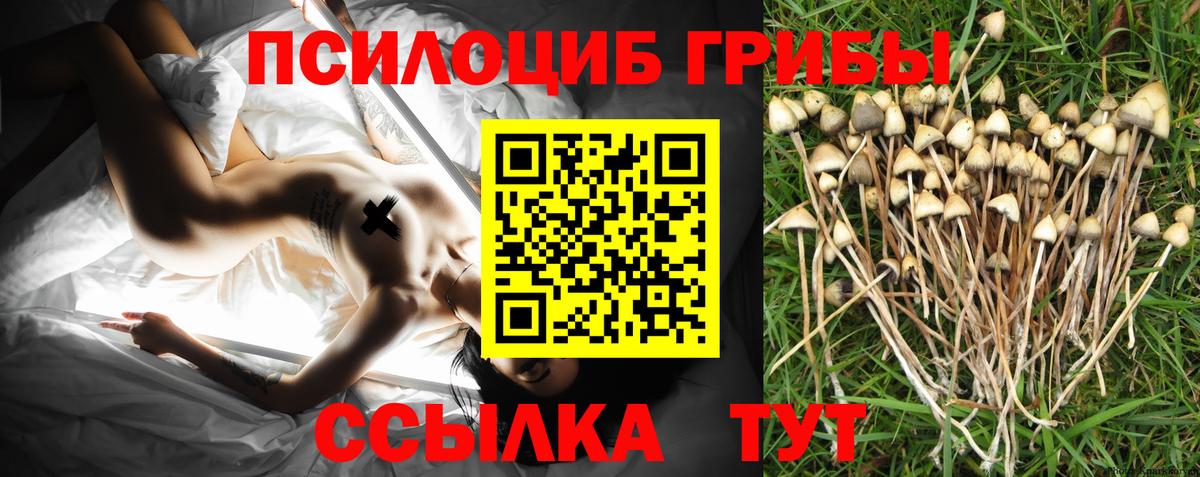 Киреевск  Галлюциногенные грибы мицелий  Вход с VPN 